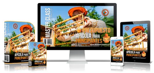 PRESUPUESTO APÍCOLA PARA PRINCIPIANTES